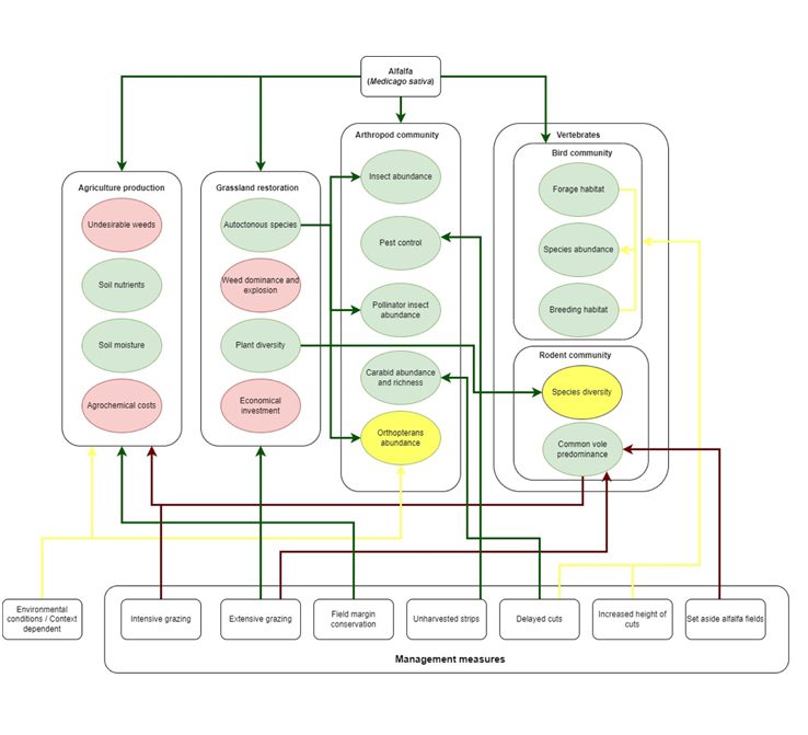 Investigacion PUB TheAdequacy 1