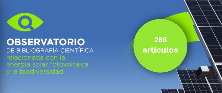 imagen actualizacion